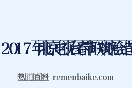 2017年北京电视台春节联欢晚会造句是什么意思的图片